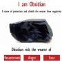 COMPONALL Fox Obsidian Necklace for Women,Fox Jewelry for Girls Gemstone Necklaces Pendant for Women Healing Crystal Necklace Protection Amulet Charm for Girls