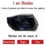 COMPONALL Fox Obsidian Necklace for Women,Fox Jewelry for Girls Gemstone Necklaces Pendant for Women Healing Crystal Necklace Protection Amulet Charm for Girls COMPONALL Fox Obsidian Necklace for Women,Fox Jewelry for Girls Gemstone Necklaces Pendant for Women Healing Crystal Necklace Protection Amulet Charm for Girls