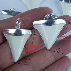 GemShark Handmade Shark Tooth Necklace Sterling Silver Pendent Charm for Boys Girls Unisex Great Megalodon White Beach Surfer Nautical Jewelry