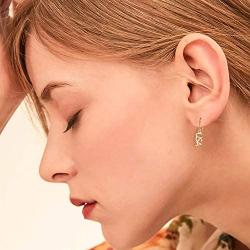 Dangle Name Earrings for Women Girls, 14K Gold Filled Personalized Name Earrings Dainty Fashion Dangle Earrings for Women Handmade Piercing Name Earrings for Women Girls Jewelry