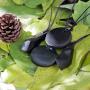 Shungite Pendant Necklace Set, Gift Set of Trendy Shungite Jewelry | Authentic Karelian Shungite Crystals