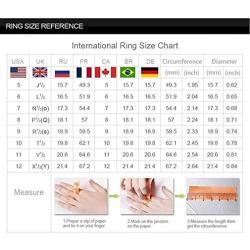 Pi Xiu Ring for Men, Chinese Mythology Pixiu Ring, Luck Animal PiXiu Amulet Ring, Feng Shui Good Luck Ring, Attract Wealth Money Ring Jewelry Gift for Men Boys