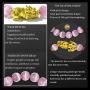 Prime Feng Shui Bracelet Natural Tiger Eye Bead Bracelet with Gold Plated Pi Xiu/Pi Yao Attract Wealth and Good Luck Amulet Gift