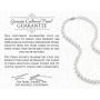 THE PEARL SOURCE 14K Gold AAAA Quality Round White Freshwater Cultured Pearl Necklace & Earrings Set in 18'' Princess Length for Women