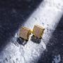 14K Gold Plated 925 Sterling Silver Iced out XL Large Square Screw Back Hypoallergenic Stud Earrings for Men and Women