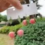 D.Rosse 2 Pairs Unique Creative Super Lightweight Lifelike Pink Peach With Leaf Dangle Drop Earrings Sets for Women Girls Teens Charm Cute Fruit Hoop Earrings Jewelry Gifts