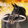 Zuo Bao Horse Memorial Jewelry Horse Lover Bracelet A Piece of My Heart Lives in Heaven Gift Loss of Horse Bracelet
