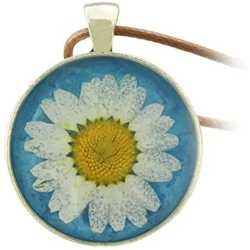 FM FM42 Pressed Dried Daisy Flower on Blue/Red Background Round Pendant Necklace FM FM42 Pressed Dried Daisy Flower on Blue/Red Background Round Pendant Necklace