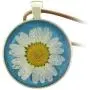 FM FM42 Pressed Dried Daisy Flower on Blue/Red Background Round Pendant Necklace FM FM42 Pressed Dried Daisy Flower on Blue/Red Background Round Pendant Necklace