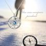 AOBOCO Inspirational Sterling Silver Compass Necklace with Swarovski Birthstone Crystal for Men & Women, Go in the Direction of Your Dreams, Christmas Birthday Jewelry Gift