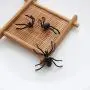 Cinlan Black Spider & Bat Dangle Drop Earrings Halloween Party Costume Accessories Jewelry Cinlan Black Spider & Bat Dangle Drop Earrings Halloween Party Costume Accessories Jewelry