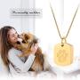 Minicremation Cremation Jewelry Urn Necklace for Ashes for Pet, Paw Print Memorial Ash Jewelry, Keepsake Pendant for Pets Cat Dogs Ashes with Filling Kit