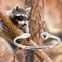 Zuo Bao Raccoon Bracelet Raccoon Lover Gift Just A Girl Who Loves Raccoon Jewelry Gift for Animal Protector Lover