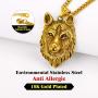Richsteel Wolf Teeth/Wolf Pendant Necklace for Men 316 Stainless Steel/18K Gold Plated/Black Viking Wolf Nordic Jewelry(with Gift Box)