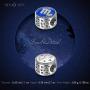 NINAQUEEN 11MM Blue Enamel Zodiac Sign Bracelet Charm 925 Sterling Silver Constellation Beads Charms for Pandöra Bracelets European Necklace Valentines Birthday Gifts for Wife Mom Girlfriend