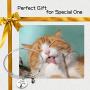 Ribukat Cat Lover Gift Crazy Cat Lady Bracelet Kitten Bracelet Gift for Women Girls Cat Lovers Jewelry Birthday Gift