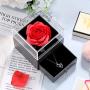 I Love You Necklace 100 Languages Projection Heart Pendant Necklace Crystal Loving Memory Collarbone Necklace with Red Rose Jewelry Storage Box for Valentines Day (Silver)