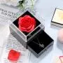 I Love You Necklace 100 Languages Projection Heart Pendant Necklace Crystal Loving Memory Collarbone Necklace with Red Rose Jewelry Storage Box for Valentines Day (Silver) I Love You Necklace 100 Languages Projection Heart Pendant Necklace Crystal Loving Memory Collarbone Necklace with Red Rose Jewelry Storage Box for Valentines Day (Silver)