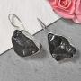 Shop LC 925 Sterling Silver Healing Pain Relief Black Rough Cut Karelian Shungite Dangle Drop Earrings Prom Jewelry for Women Mothers Day Gifts