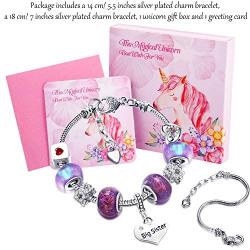 Big Sis Shiny Crystal Charm Bracelet Bangle Jewelry Wristband with Gift Box Set for Lady