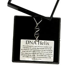 DNA Necklace 18 inch Sterling Silver Chain