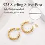 Hoop Earrings,18K Gold Plated 925 Sterling Silver Post Small Hoops,Star|Sunflower|Bamboo|Chain Hoop Earrings for Women Girls,with Gift Box Hoop Earrings,18K Gold Plated 925 Sterling Silver Post Small Hoops,Star|Sunflower|Bamboo|Chain Hoop Earrings for Women Girls,with Gift Box
