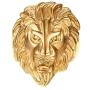 Gold Lion Head Design Stainless Steel Rings for Men Boys Jewelry Chic Punk Animal