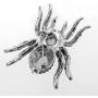 Womens Spider Necklace Pin Brooch 2 in 1 - Pendant with Couple Stainless Steel Necklaces 18'' & 20'' - Halloween Costume Accessories for Women Teen Girls