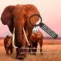 MAOFAED Elephant Gift Elephant Lover Gift Always Remember You are Stronger Braver Smarter & More Loved Than You Think Inspiration Gift for Friend MAOFAED Elephant Gift Elephant Lover Gift Always Remember You are Stronger Braver Smarter & More Loved Than You Think Inspiration Gift for Friend