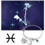 G-Ahora Stainless Steel 12 Zodiac Sign Bracelet with Birthstone Charm Inspiration She Believed She Could Constellation Jewelry