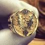 Lion Ring for Men, Norse Viking Lion Head Ring, Gold Lion Crown Ring, Gothic Sword Shield Wing Ring, Hip Hop Lion Signet Ring, Vintage Lion Totem Amulet Ring, Punk Animal Lion Jewelry Gift