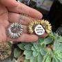 SUNSHI New Upgrade Sunflower Necklace Engraved 2 Sided Version Heart Locket You are My Sunshine Love You Pendant with Box for Women, Mother, Daughter