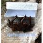 UMBRELLALABORATORY Natural Wooden Tribal Organic Boho Earrings Wood Hawaiian Jewelry for Women Men