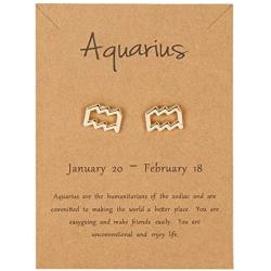 2021 New Card Packaging Horoscope Zodiac Stud Earrings 12 Constellation Astrology 18K Gold Plated Little Ear Stud for Women Girls Teens Birthday Anniversary Friendship Exquisite Jewelry Gift