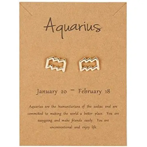 2021 New Card Packaging Horoscope Zodiac Stud Earrings 12 Constellation Astrology 18K Gold Plated Little Ear Stud for Women Girls Teens Birthday Anniversary Friendship Exquisite Jewelry Gift