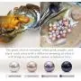 Freshwater Pearl Earrings Dangle Drop Sterling Silver Earrings 8-9mm Cultured Pearl Fine Jewelry for Women Girls