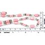 AnsonsImages 37'' Inches Long Magnetic Wrap Necklace Choker Bracelet Anklet Lariat Pink