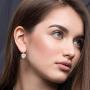 Swarovski Crystal Heart Drop Leverback Earrings for Women 14K Rose Gold Plated Hypoallergenic Jewelry