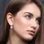 Swarovski Crystal Heart Drop Leverback Earrings for Women 14K Rose Gold Plated Hypoallergenic Jewelry Swarovski Crystal Heart Drop Leverback Earrings for Women 14K Rose Gold Plated Hypoallergenic Jewelry
