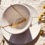 Daetlmn Zodiac Sign Necklaces Zodiac Horoscope Necklace Leo Cancer Necklace Zodiac Letter Necklace Constellation Birth Mouth Gift Zodiac Jewelry Gift for Her Gold/Silver