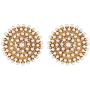 Aheli Bollywood Fashion Faux Stone Wedding Necklace Earrings Indian Fashion Jewelry Set for Women