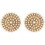 Aheli Bollywood Fashion Faux Stone Wedding Necklace Earrings Indian Fashion Jewelry Set for Women
