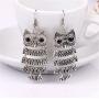 Vintage Owl Sweater Chain Necklace Big Eye Owl Animal Dangle Drop Earrings for Women Girls Fashion Jewelry Set
