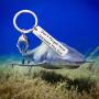 BLEOUK Shark Keychain Shark Lovers Gifts Shark Week Friendship Gift Don’t Forget How Jawsome You are for Shark Girl Shark Stuff Diver Gifts