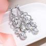 EVER FAITH Womens Austrian Crystal Stunning Bridal Wedding Teardrop Pierced Dangle Earrings