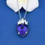 FAADBUK Descendants Lover Gift Descendants Peach Heart Crystal Pendant Crown Necklace Evie Red Heart Ocean Heart Necklace for Friend Family FAADBUK Descendants Lover Gift Descendants Peach Heart Crystal Pendant Crown Necklace Evie Red Heart Ocean Heart Necklace for Friend Family