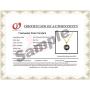Black Japanese AAAA 6-13.5mm Freshwater Cultured Pearl Pendant Necklace 16''/18'' Solitaire Necklace Pendant - Orien Jewelry