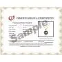 Black Japanese AAAA 6-13.5mm Freshwater Cultured Pearl Pendant Necklace 16''/18'' Solitaire Necklace Pendant - Orien Jewelry