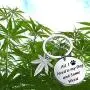 ENSIANTH Cannabis Dog Cat Lover Gift Cannabis Weed Gift All I Need is Dog/Cat and Some Weed ENSIANTH Cannabis Dog Cat Lover Gift Cannabis Weed Gift All I Need is Dog/Cat and Some Weed