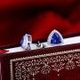 Lanmi 14K White Yellow Gold Genuine Tanzanite Diamond Dangle Drop Earrings Studs for Women Ladies Engagement Wedding